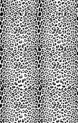 100% Cashmere Schal F1 TLP 50 KL