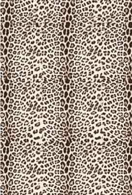 100% Cashmere Schal F1 TLP 51