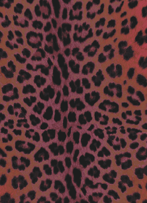 VSF * Merino Schal V7 JV 28