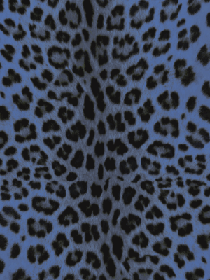 VSF * Merino Schal V7 JV 29