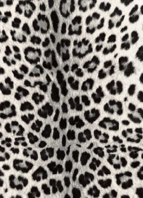 VSF * Merino Schal V7 JV 35