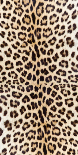 VSF * Merino Schal V7 JV 36